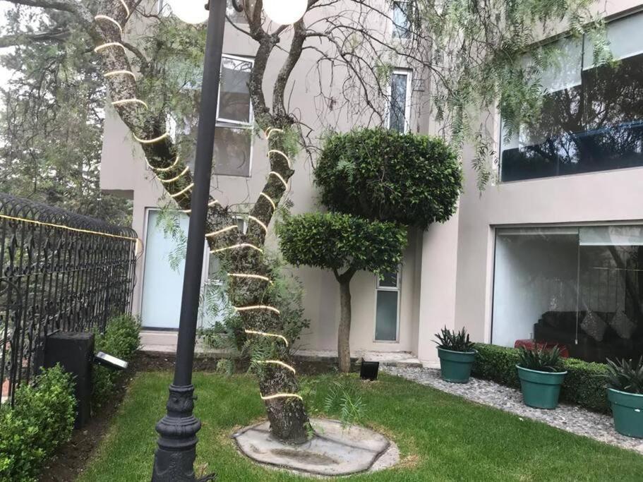 Hermoso Departamento En Bosques De Las Lomas Dos Habitaciones เม็กซิโกซิตี้ ภายนอก รูปภาพ